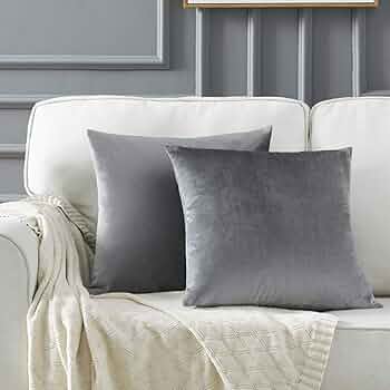 Slate Grey - Plush Velvet Pillow Covers (18x18) – Ultra-Soft & Cozy , Perfect for Living Room, Bedroom and Outdoor . ( Pack of 2 )