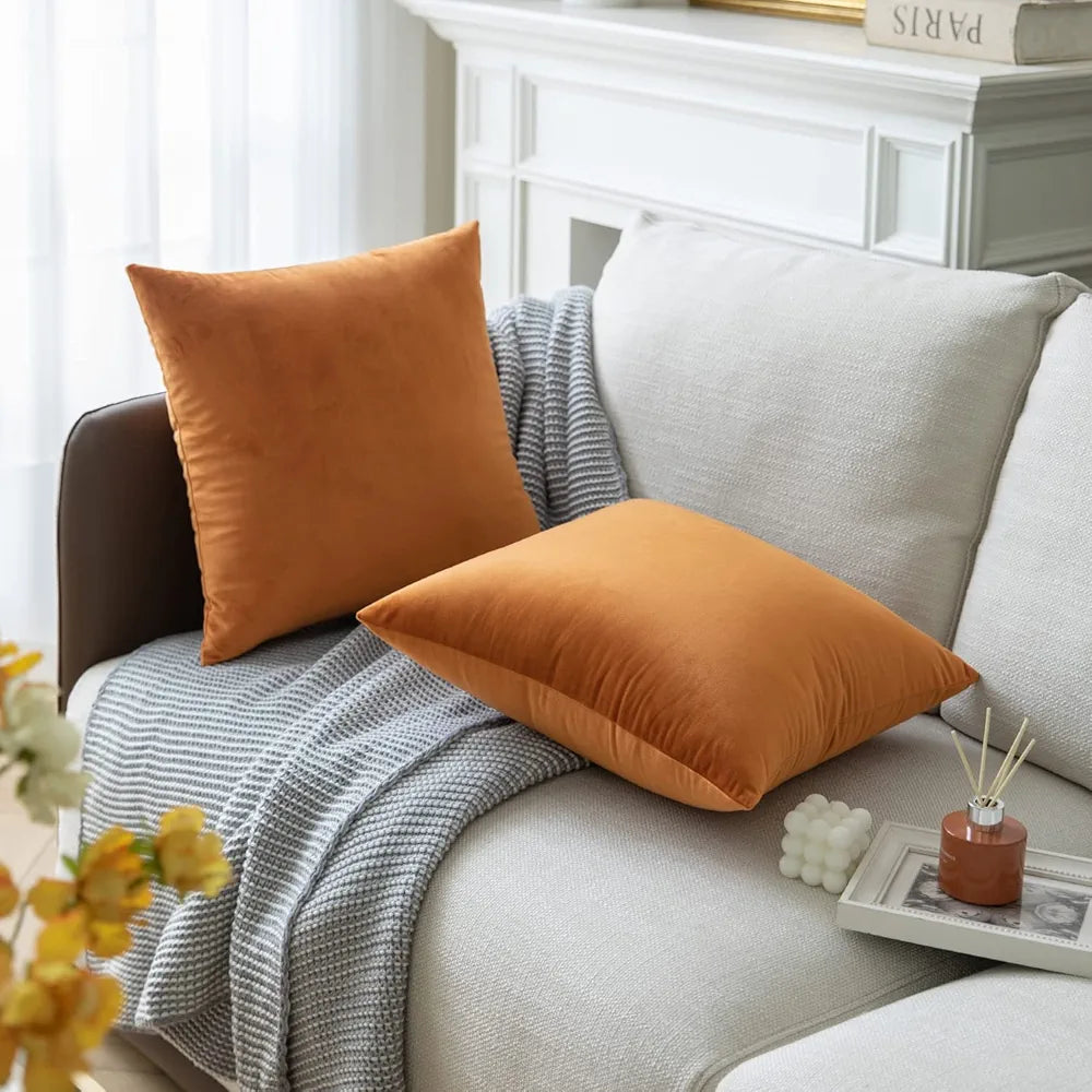 Golden Brown - Plush Velvet Pillow Covers (18x18) – Ultra-Soft & Cozy , Perfect for Living Room, Bedroom and Outdoor . ( Pack of 2)